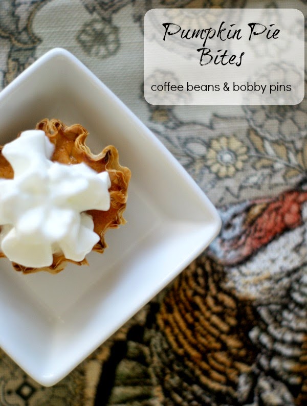 Chocolate Chip Pumpkin Bites