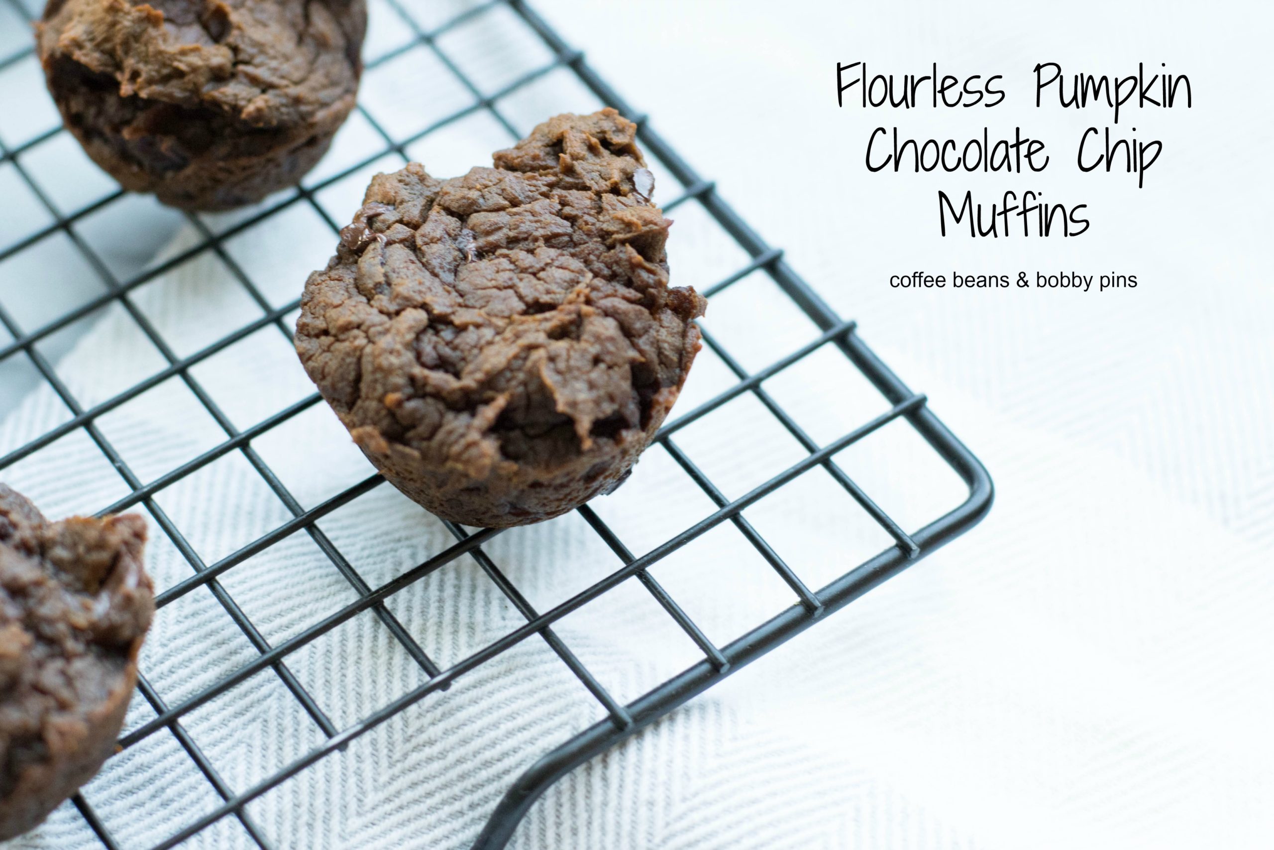 Fitness Thursday: Flourless Chocolate Pumpkin Muffins