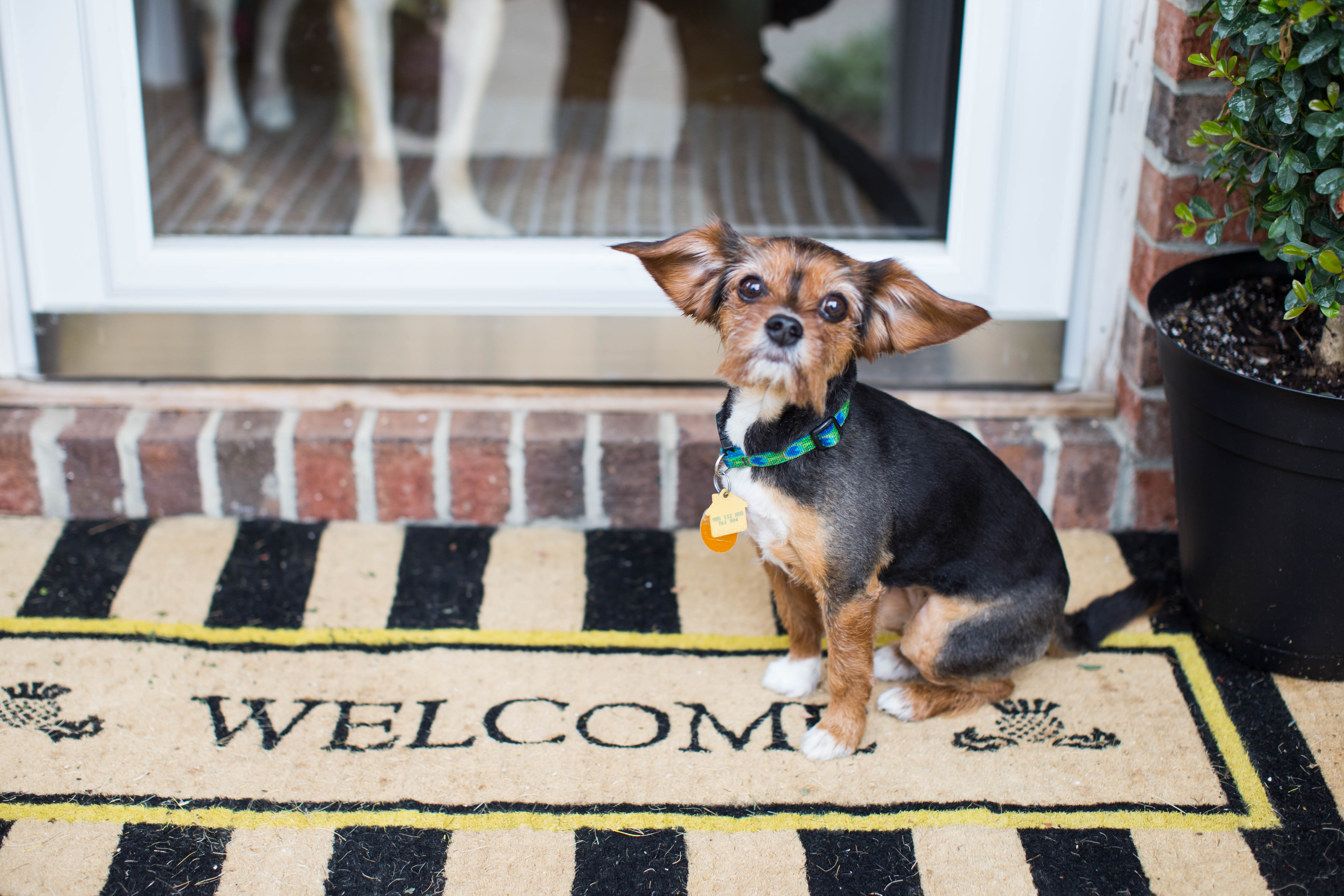 How to Make a Small Front Porch Inviting by NC blogger Amy of Coffee Beans and Bobby Pins