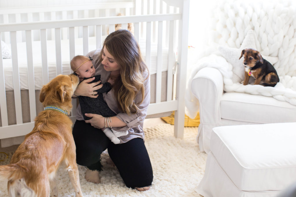 Tips for Introducing Baby to Pets by popular North Carolina lifestyle blogger Coffee Beans and Bobby Pins