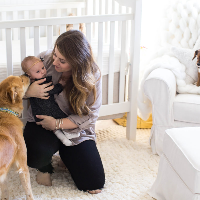 Tips for Introducing Baby to Pets