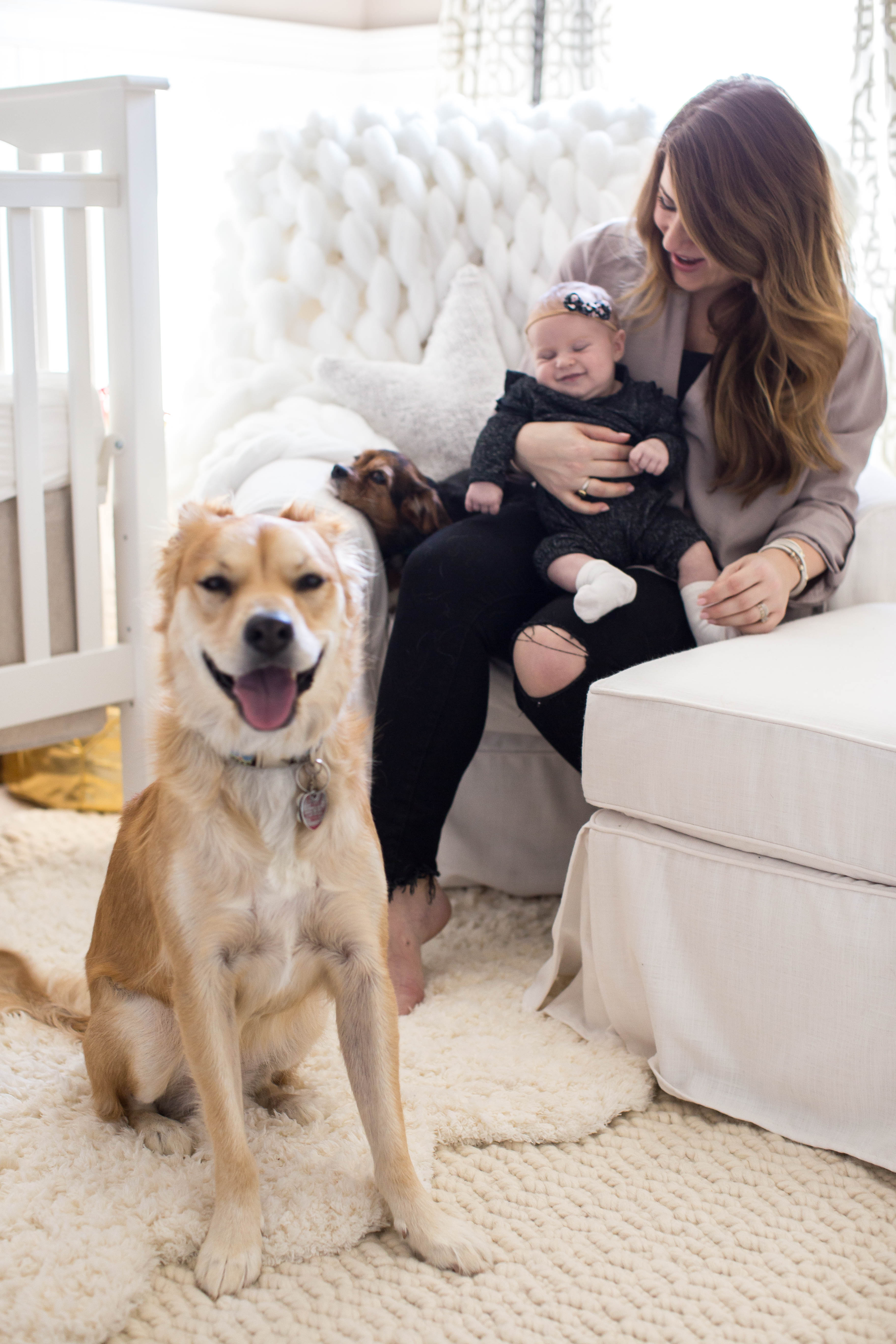 Tips for Introducing Baby to Pets by popular North Carolina lifestyle blogger Coffee Beans and Bobby Pins