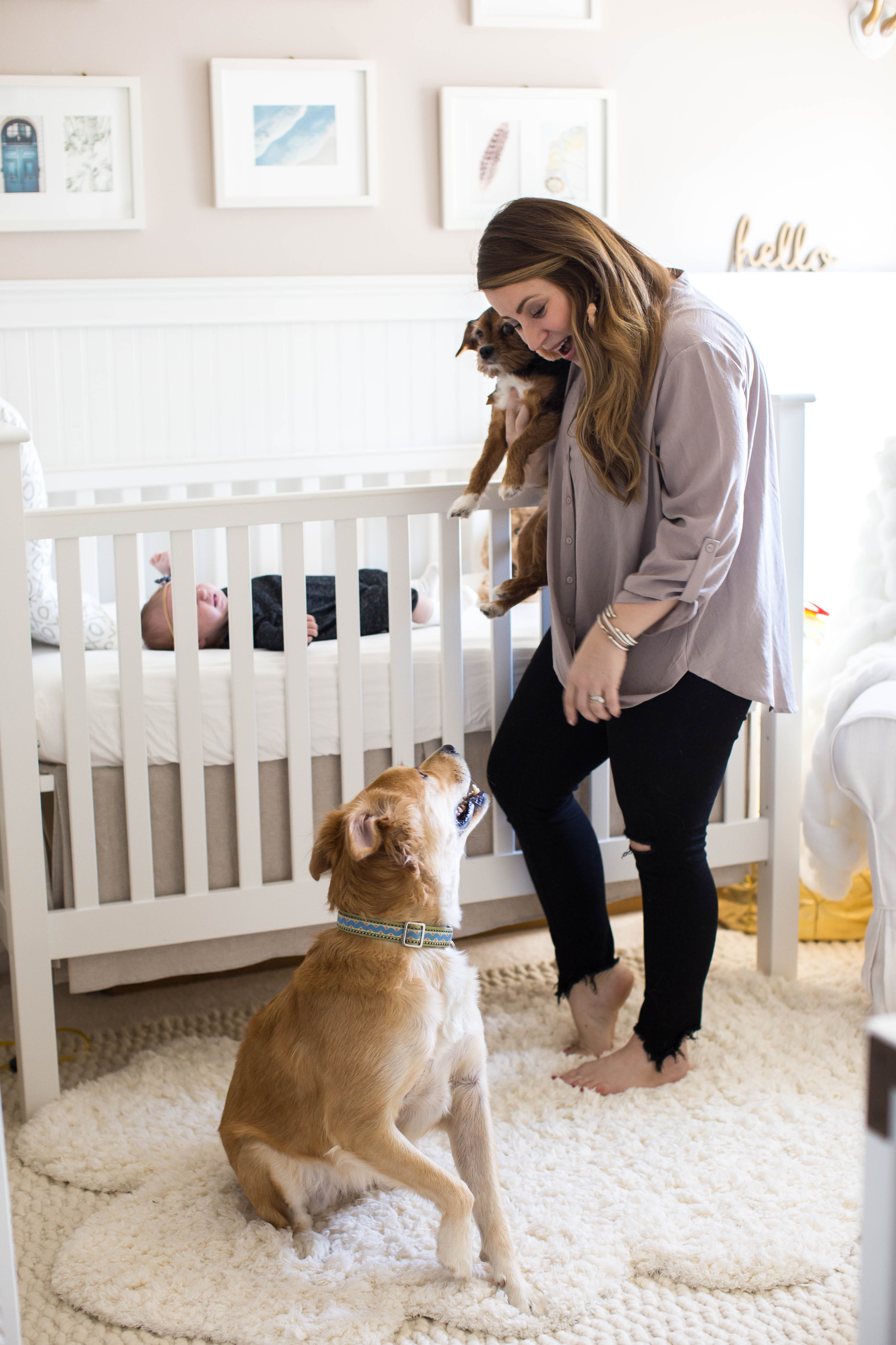 Tips for Introducing Baby to Pets by popular North Carolina lifestyle blogger Coffee Beans and Bobby Pins