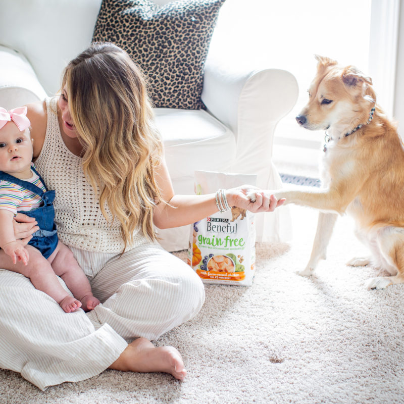Tips for Making Time for Your Pets After Baby