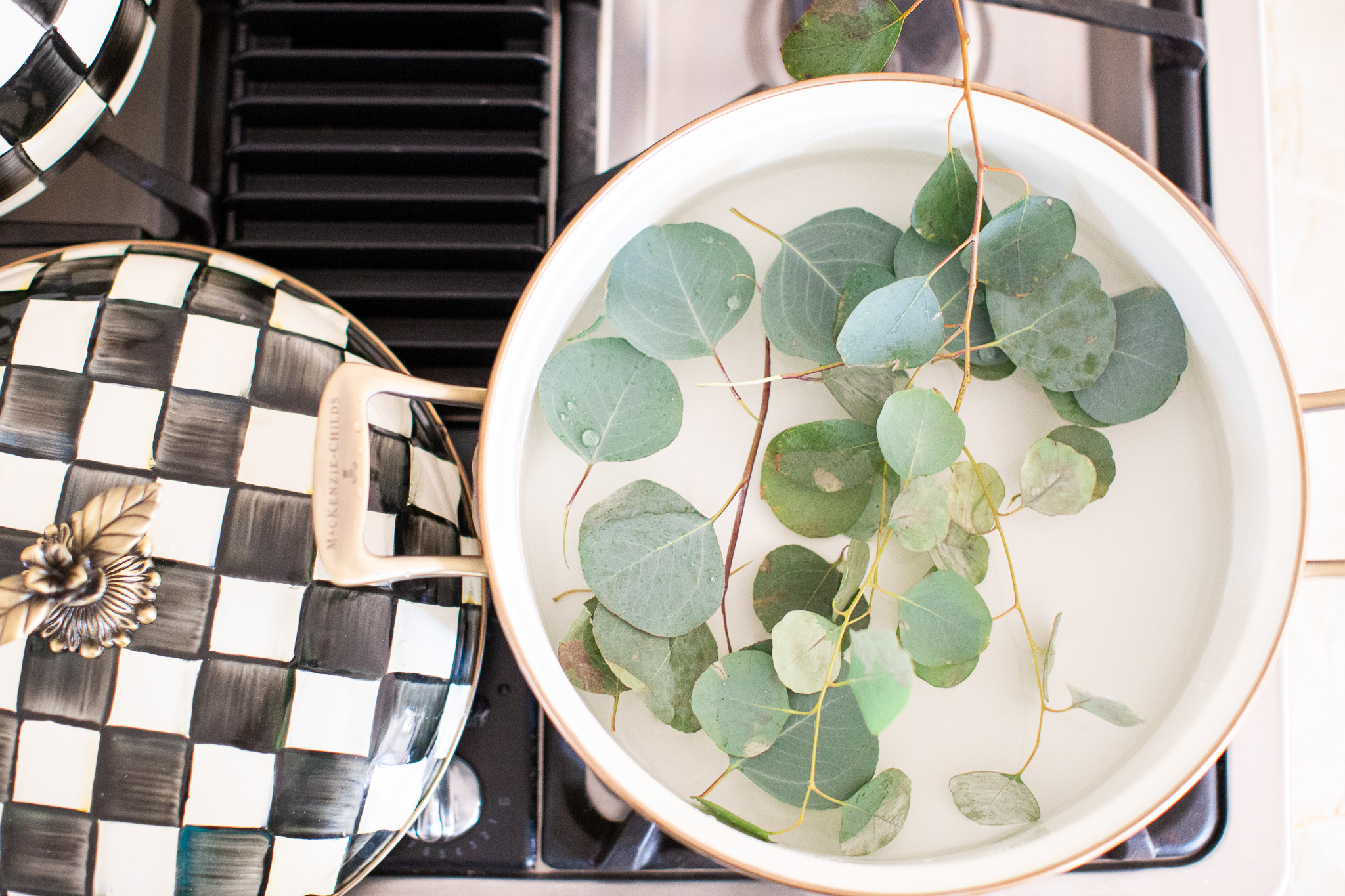 How to Use Eucalyptus Leaves featured by top US lifestyle blog Coffee Beans and Bobby Pins