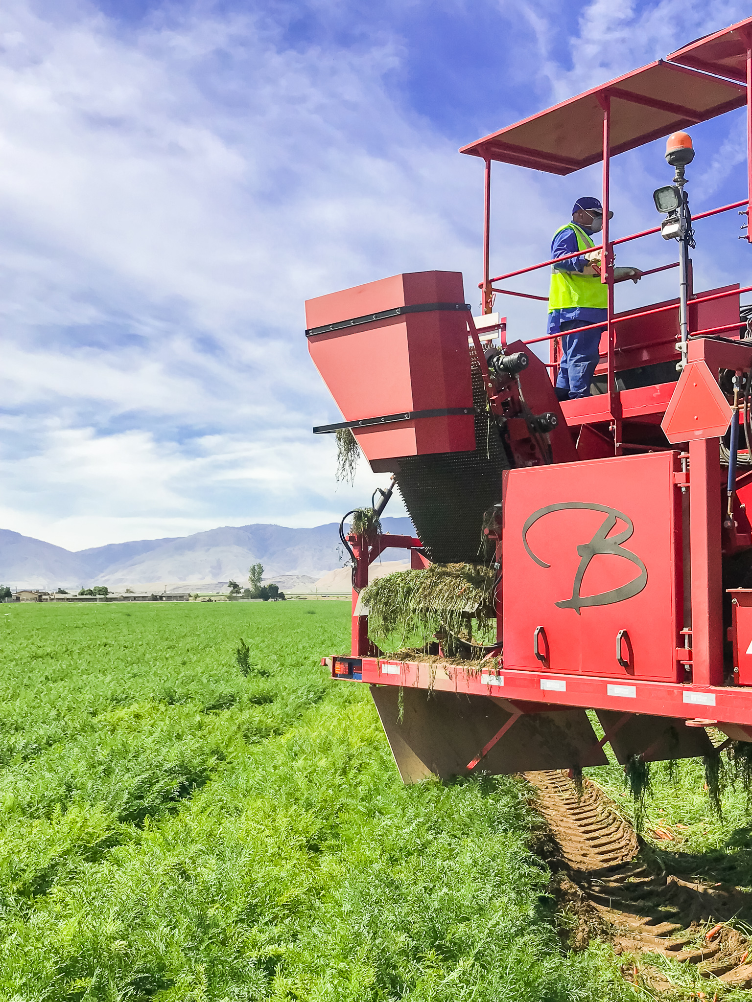 Bolthouse Farms Bakersfield Visit – Our California Trip Recap by popular North Carolina lifestyle blog, Coffee Beans and Bobby Pins: image of farm equipment in the carrot fields at Bolthouse Farms.